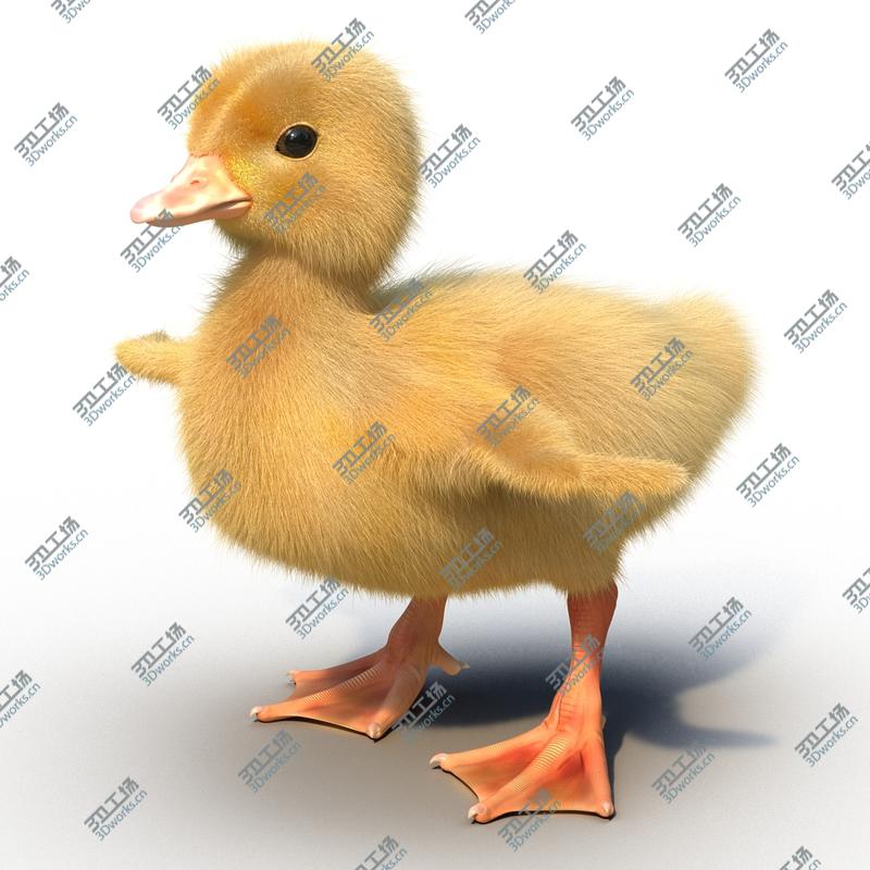 images/goods_img/202104091/Duckling Rigged/3.jpg